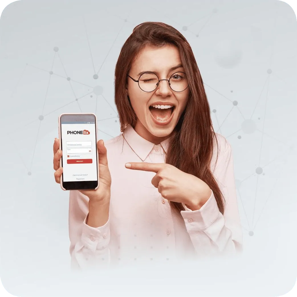 phonelix – NetVoice